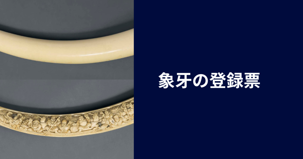 象牙の登録費用はいくら？