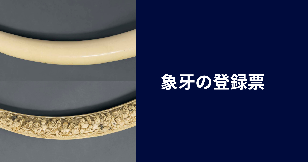 象牙の登録費用はいくら?
