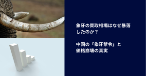 象牙の買取相場はなぜ暴落したのか？中国の「象牙禁令」と価格崩壊の真実